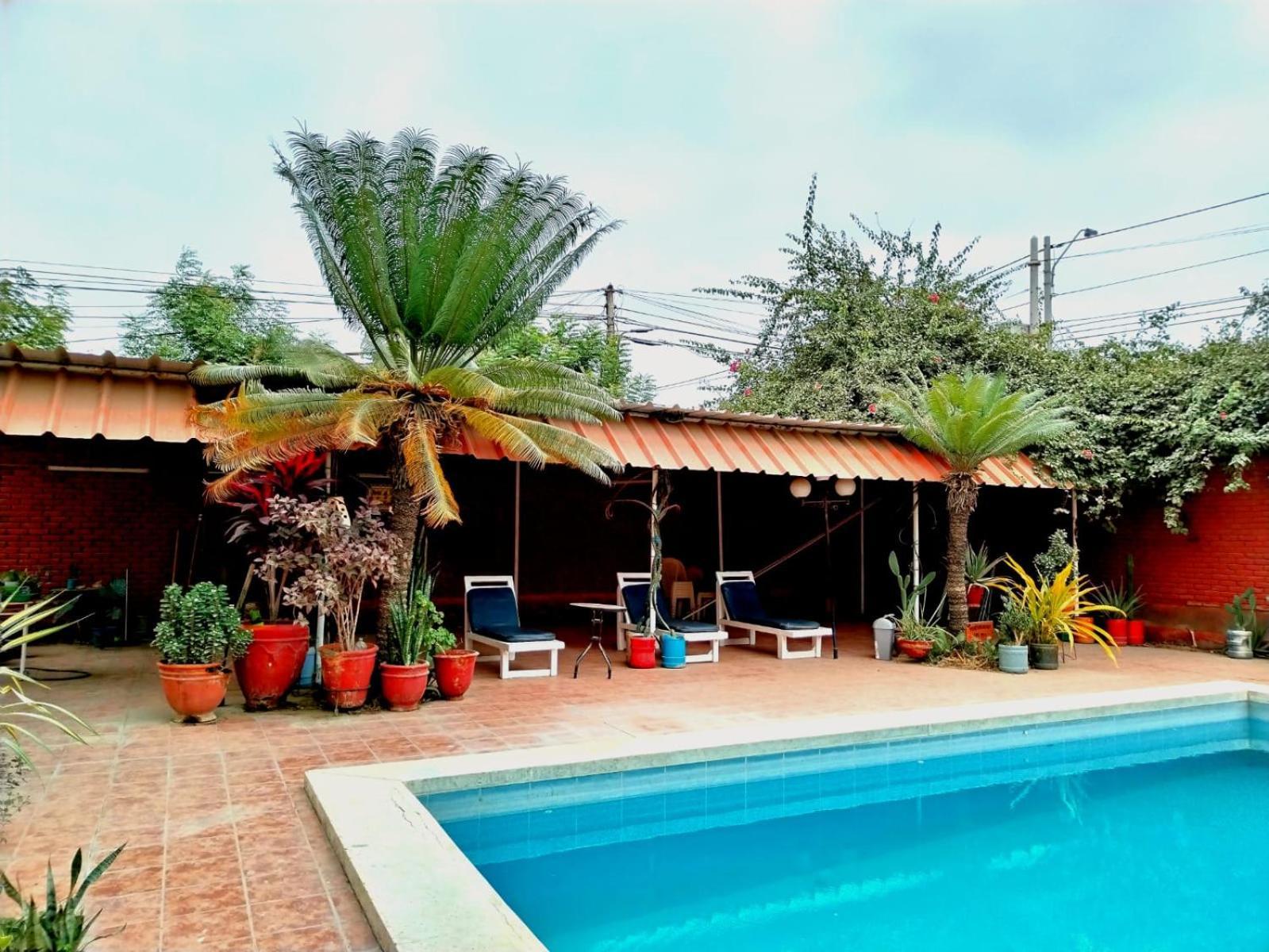 La Siesta-Hotel Sullana ภายนอก รูปภาพ